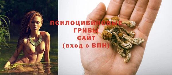 PSILOCYBIN Бородино