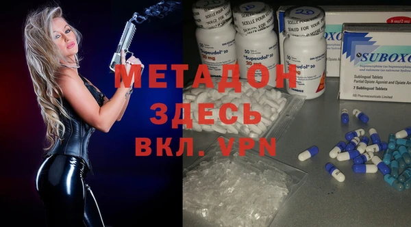 сатива Аша