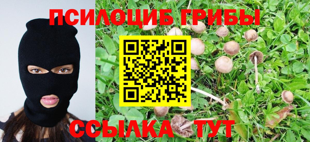 NBOMe Кострома